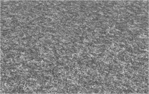 voilok.png voilok.png